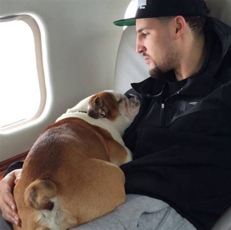 how old is klay thompson's dog